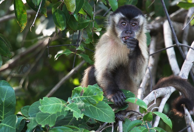 72a138c0-89c8-4ae2-82b2-dcadddbac4e2