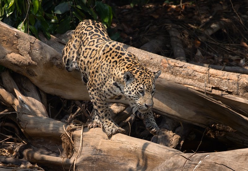 5988a668-0de8-4bd4-b070-4693d011c0ff