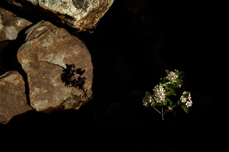 8b7b7979-8682-4747-98ba-a1d657de2fd6