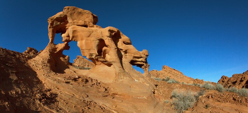 44a2d60b-0de0-4ec2-bbbc-f750ac29f330