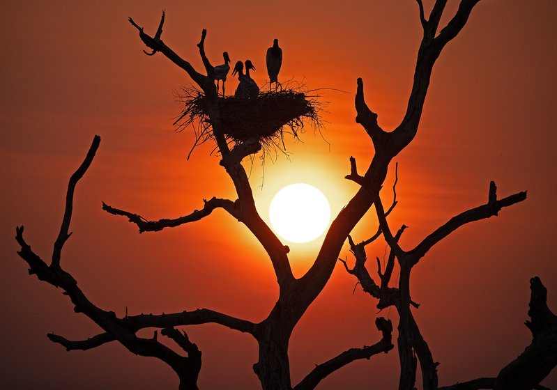 020a2808-9f49-44e2-8d04-84ee23c9daed