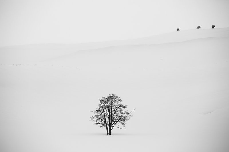 40666054-f02d-466e-a638-82823fc69a43