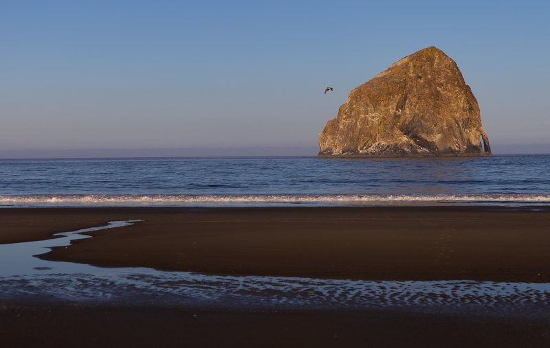 8e5ae7bf-8388-4c40-86ef-3f66448a5d28