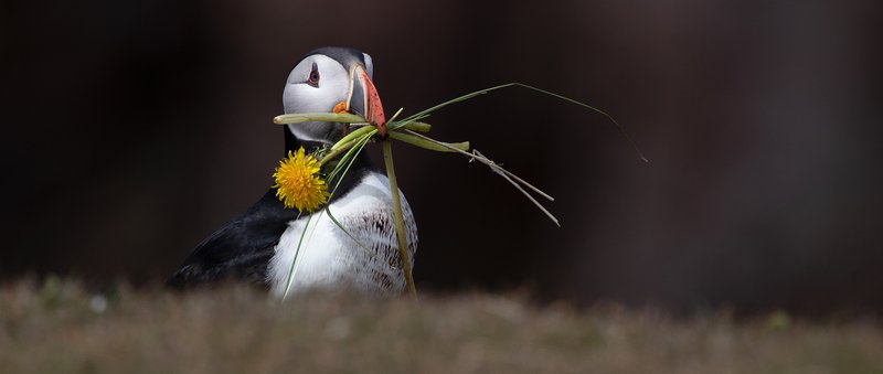 ae654008-e89e-42c6-a65f-37112390b048