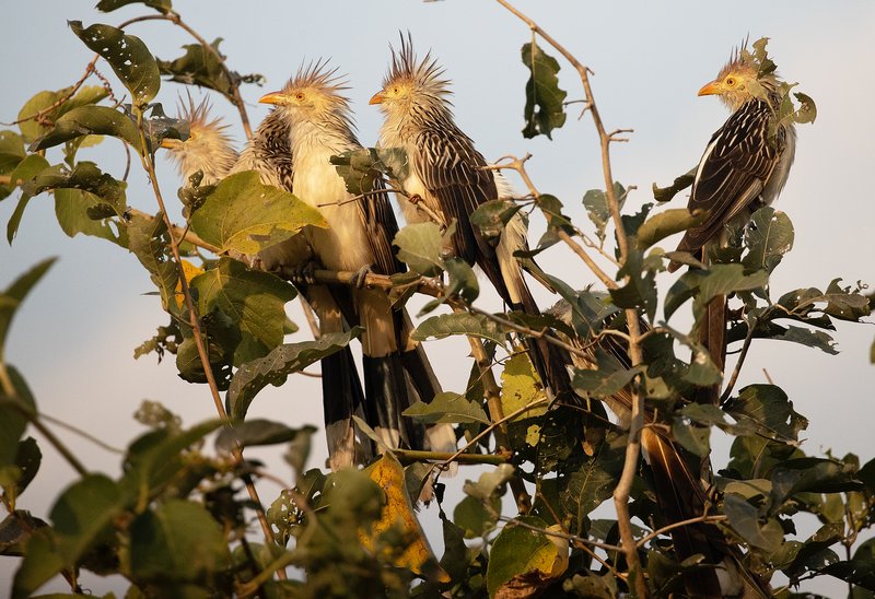 ee398ded-d507-4d5c-8d4e-32892ebab222