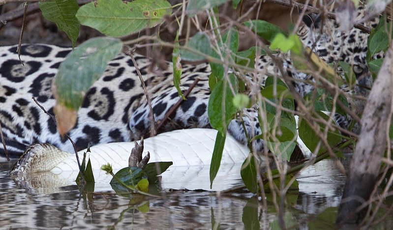 793f0ba6-2c0c-4e3f-ac6c-3342bfee20f5