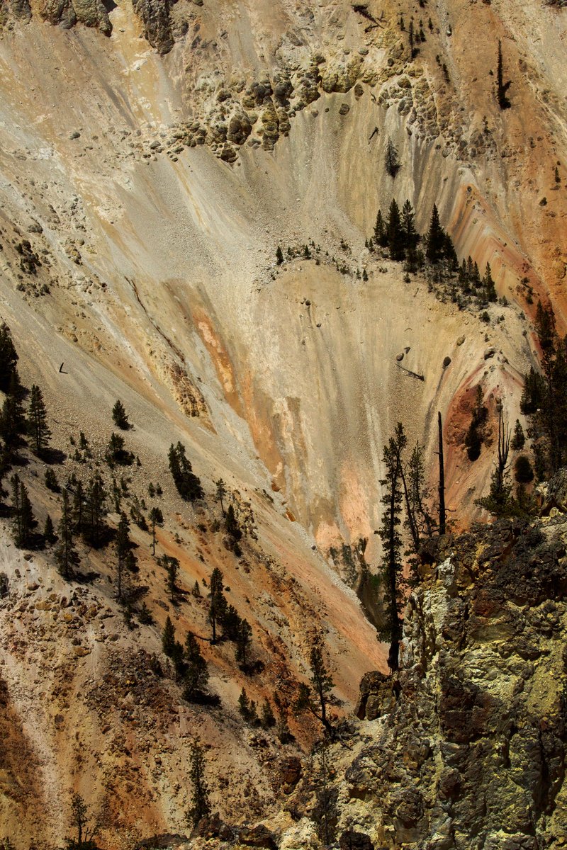 00a83026-d4b7-4c97-b0db-fa9424eb4be0