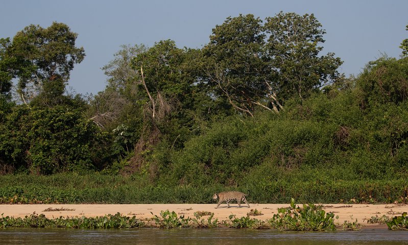 2114101c-7bbb-4b31-a27b-9d2e271bdb1b