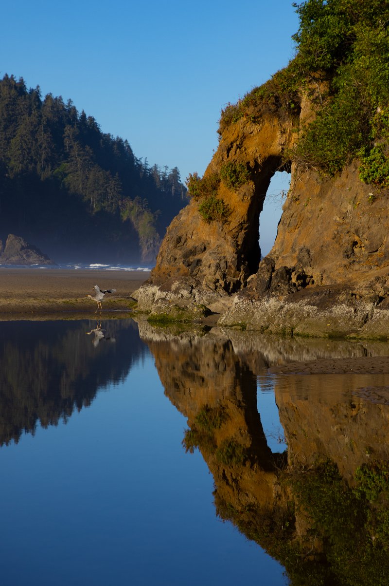 0936c148-632a-43dd-920f-fd60f26c7e73