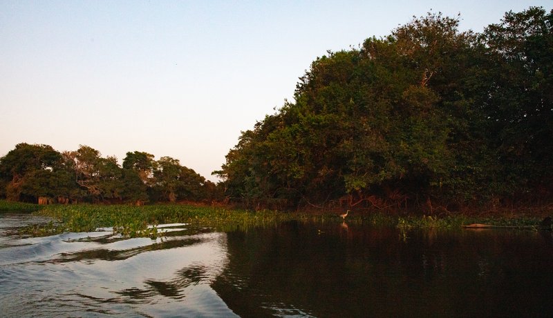 90d944f3-b058-4449-878f-ff94d4fd1ce7