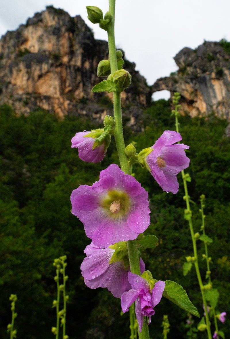 7a1c48bb-7e95-4957-a81c-2322f7449508