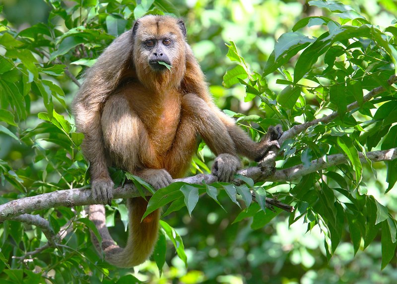 f23b077a-f7eb-498d-98ec-f6c8e7861d7d