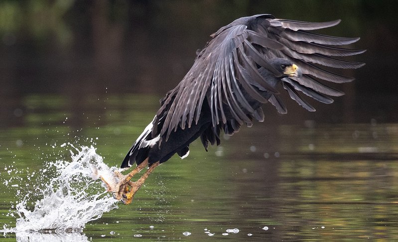 ef9bbfb4-cae0-49db-9c00-a3cc77d0333b