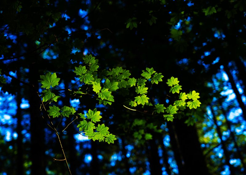 c7beb733-da68-4542-ac25-4513dea797ff