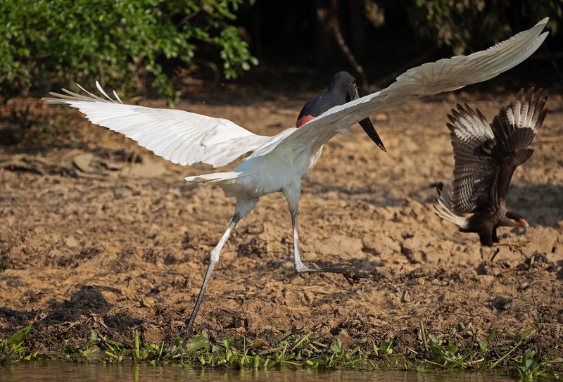 efa06fac-7d0c-4780-a9d4-1851826af4e4