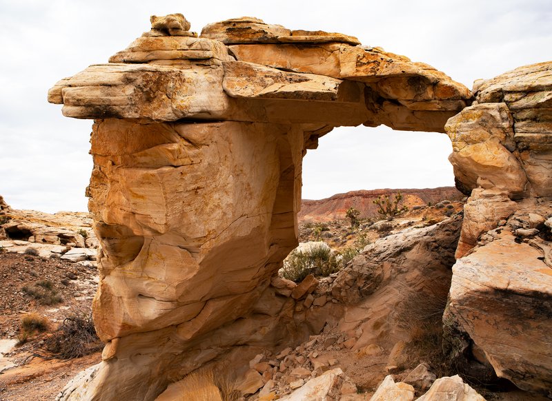 87917ff0-ff72-4c6d-afea-1d791cb9b4e0