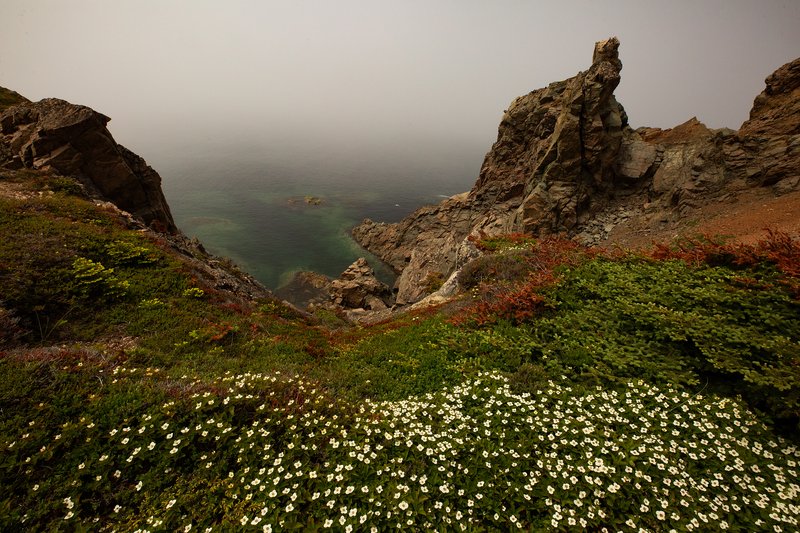 7169abf0-675a-44c6-8c4e-3a54d4944fc9