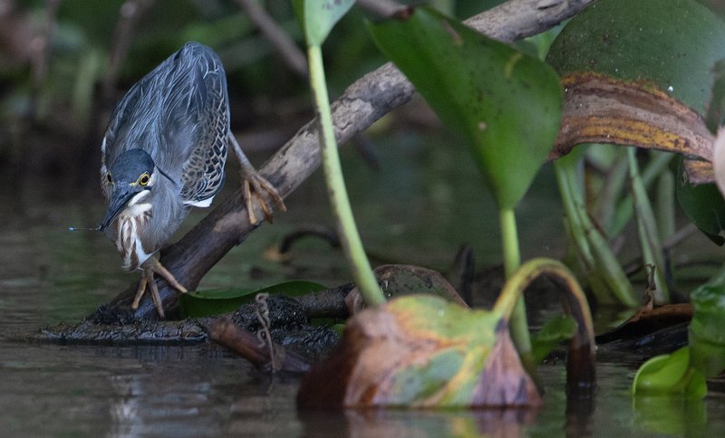 712e8b72-9cc2-4f71-a9f1-a9563b09957f