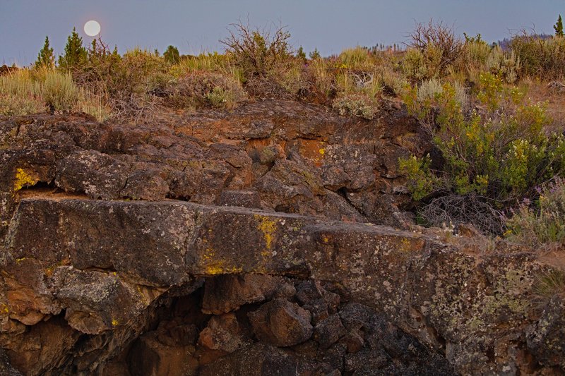 33d92937-24e5-4650-a150-d6c33ecfb5d9