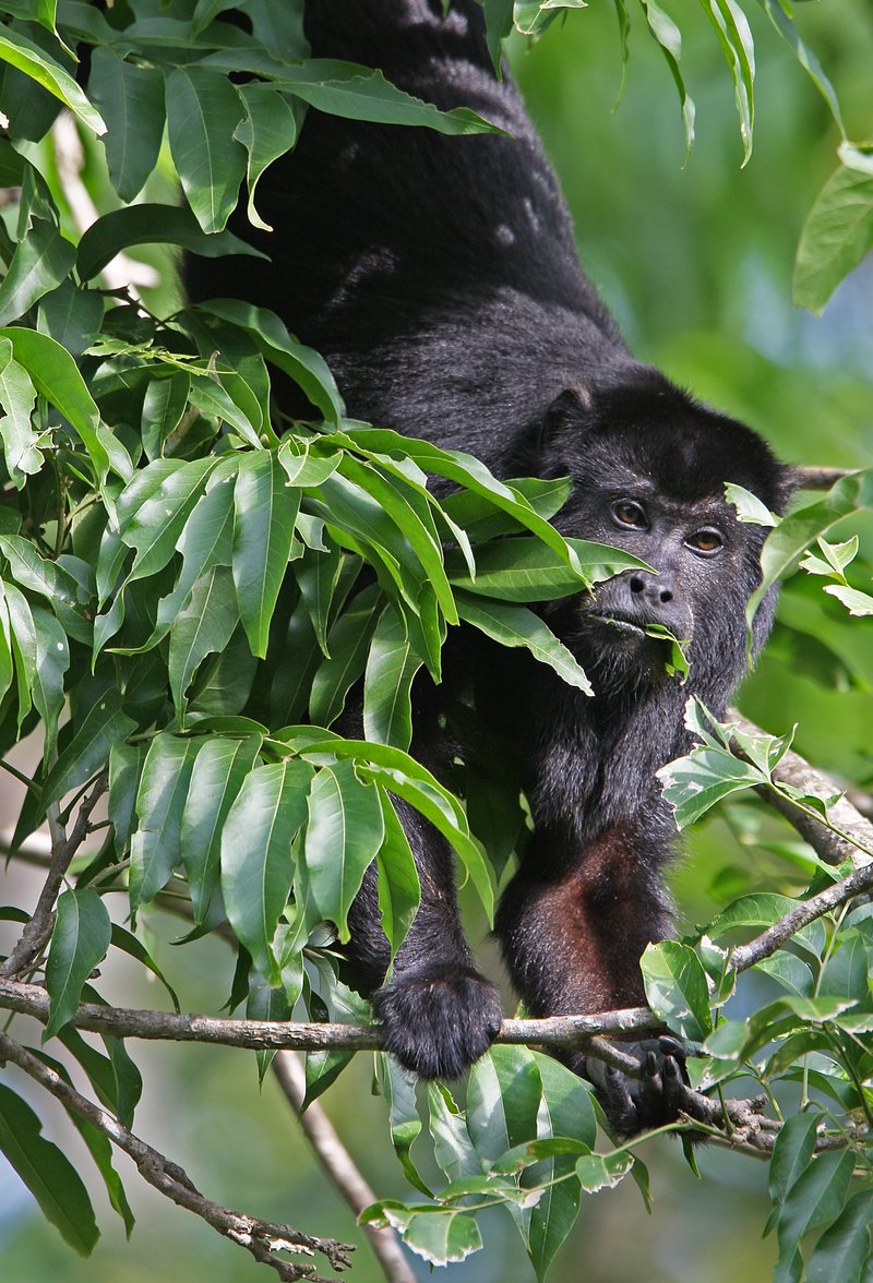 c95b25b8-1ca4-4458-a478-8486e31f1552