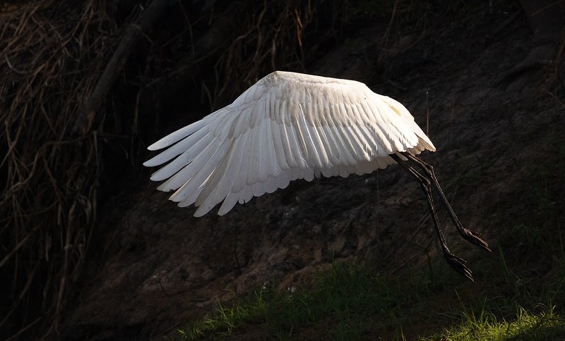 56ec2311-ca02-4a70-b8aa-7515b0676ed6