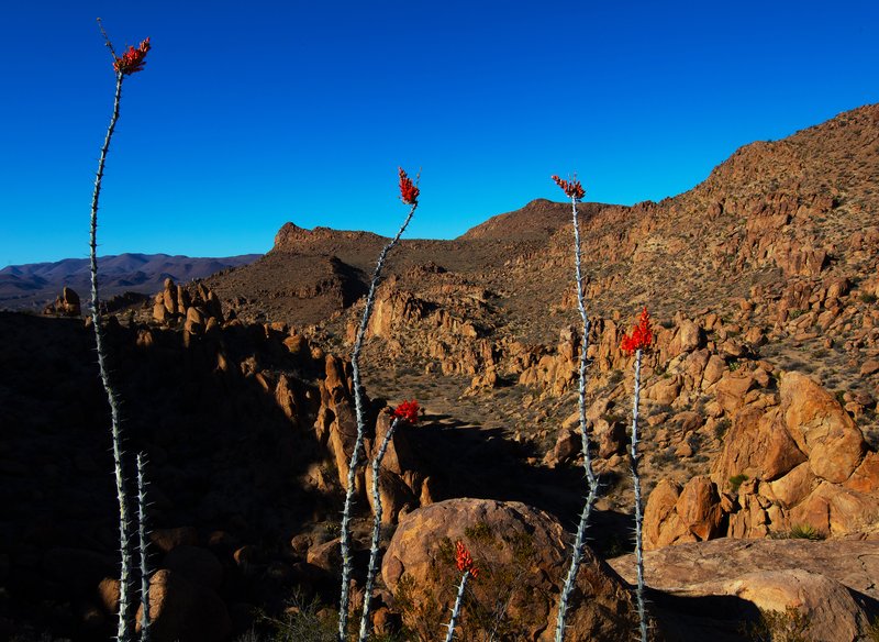 7d10b38d-45bd-42c8-bfc3-a6c6e2238c36