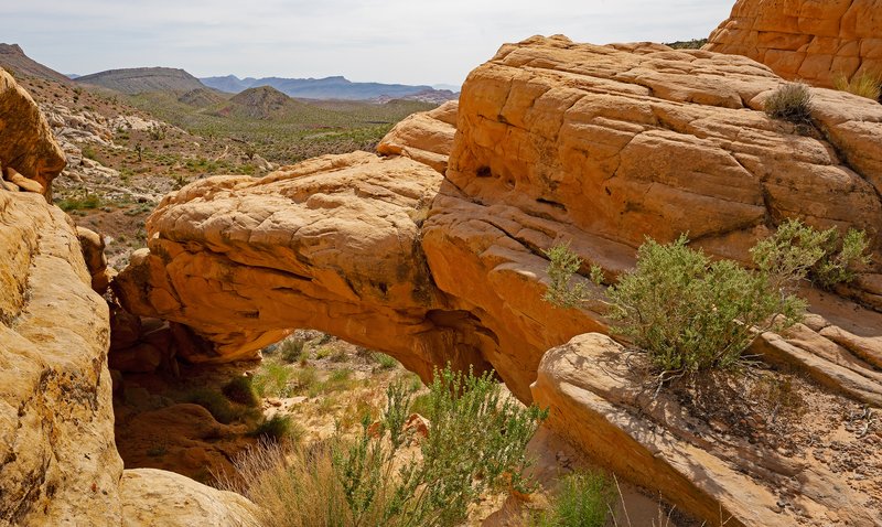 bf385357-3401-40fc-996c-8fbe9c753943