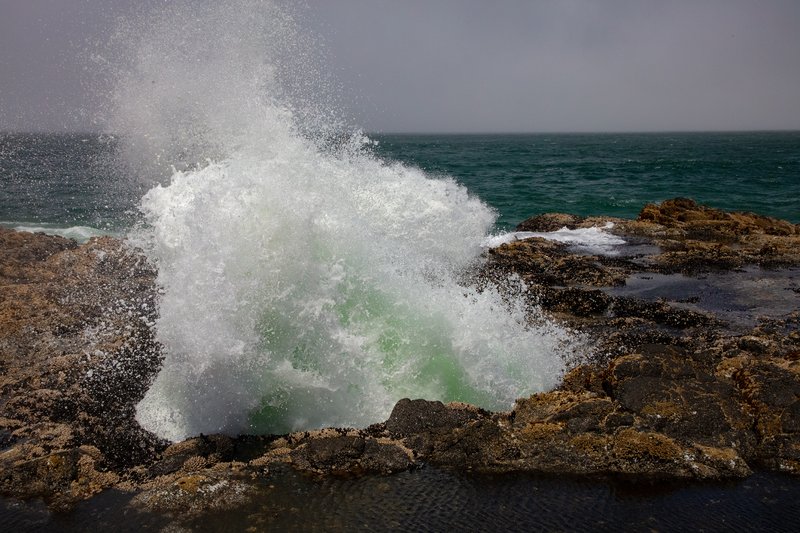 eee822f3-df13-47a9-942f-1b961e962c5c