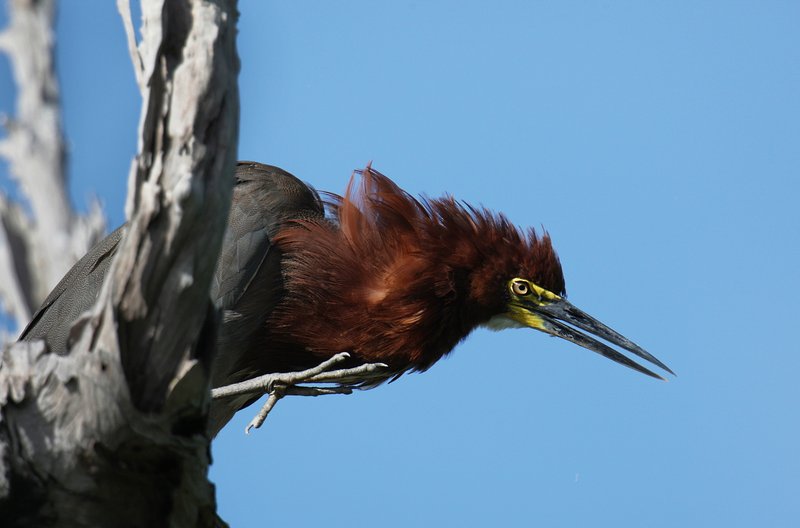 57676fb5-5427-4985-a0ed-36a6d9c2e7b3