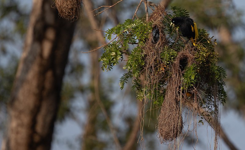 3e9f4f64-2548-485a-b4d9-6d54e7311952