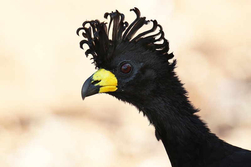 8d20e22c-6c5b-4136-9ab3-b96317ce3883