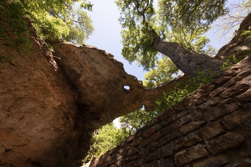 5b6695ce-876b-4922-91af-fc447e87b280