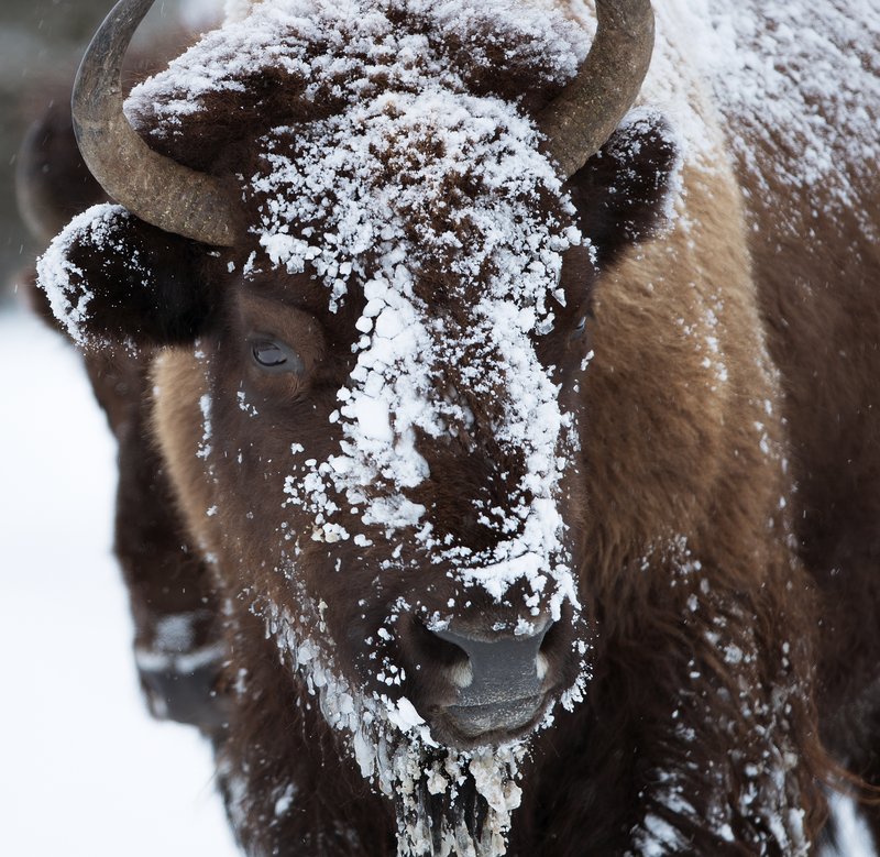 df6f2b86-b5fc-4686-a7be-4bec0f34d666