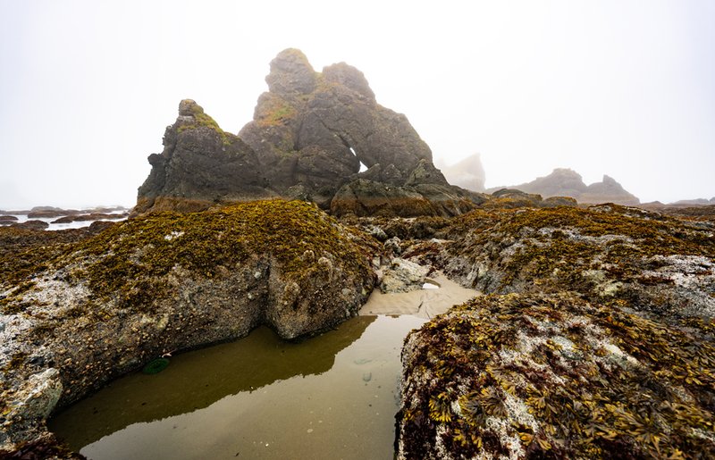 602222b5-6cf5-45e0-87cb-381ef35f1ae0