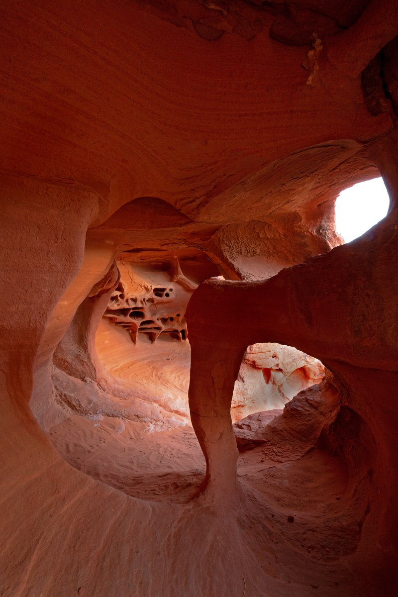 8ec91639-93a7-4d52-9cc9-f233e79a5aa4