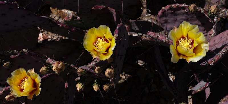 922455cb-0b04-41f9-b433-dedda491a3c8