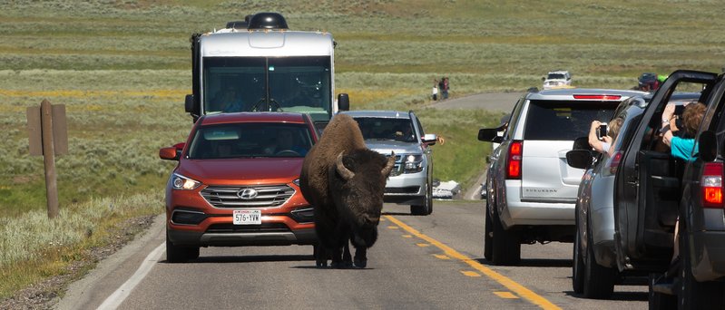 00d76988-f6a4-48ef-8d6a-97d4a04b260d