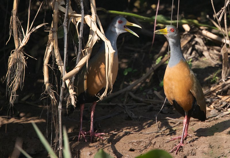 39cd7c99-8a73-47f0-a894-5240b9d571ef