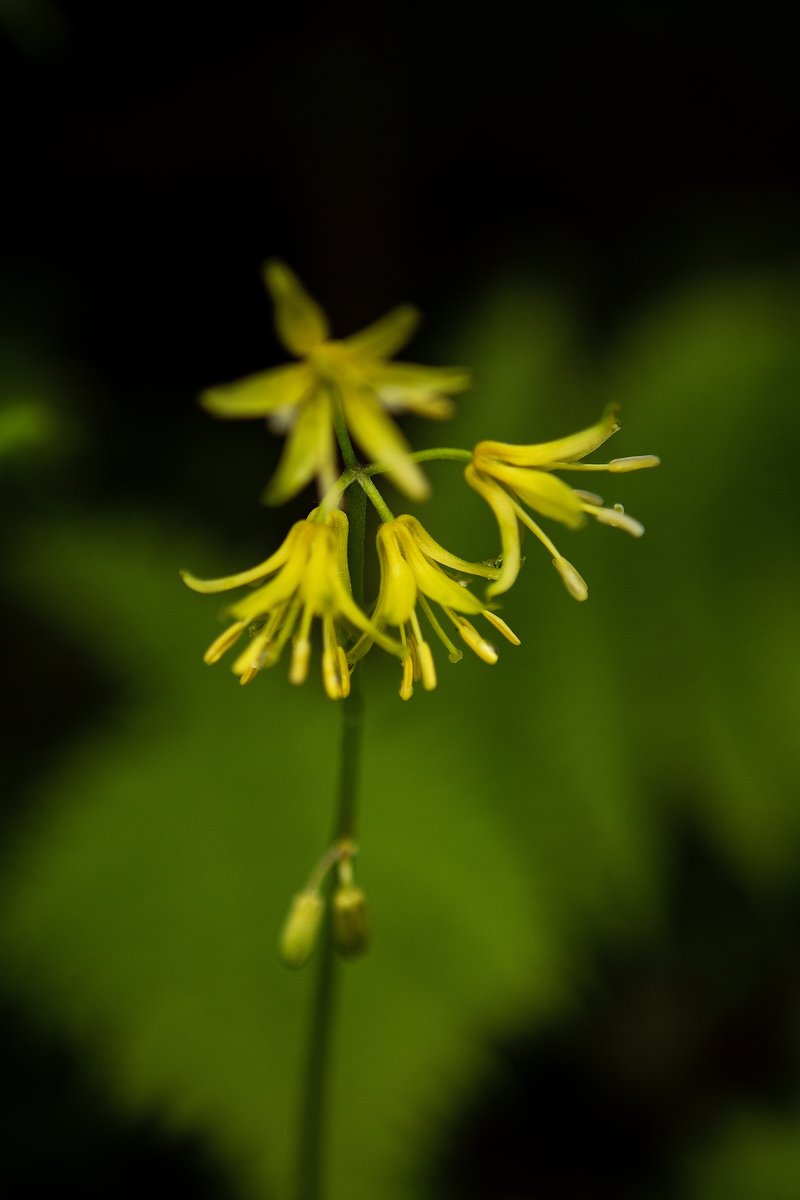 cc0c3cf6-a78d-4eed-9a8d-01e0e132d506