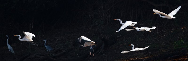 dd9acde2-2b4e-4606-b1e8-3d7cde1e4c97