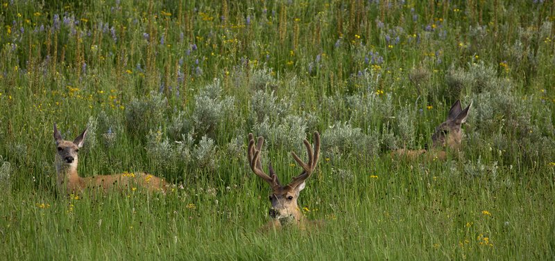 04d84639-3bb8-43c8-9036-c94498883d0c