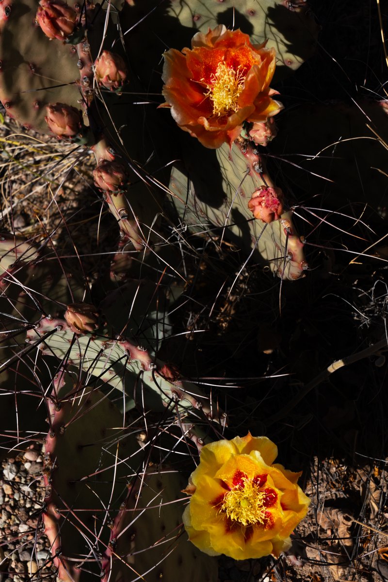 91eb7117-f501-42aa-aa64-23732fefe422