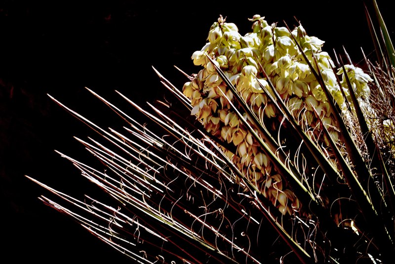 54b1ed77-405d-45b6-8902-de73b24619cb