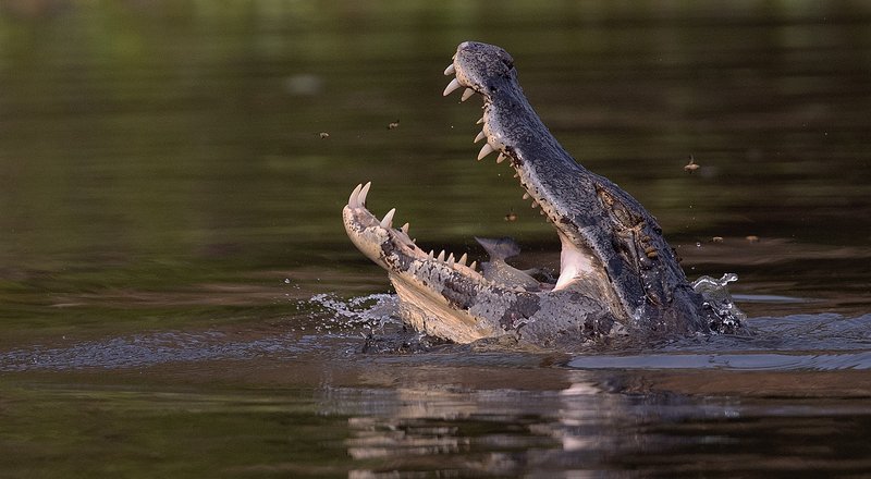 d8f8e973-4abe-4bac-87ee-beae43abd69d