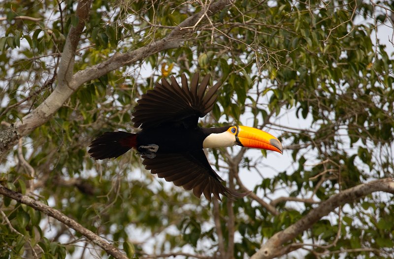 0f75fea8-d0d2-4634-acc6-8fc65099015e