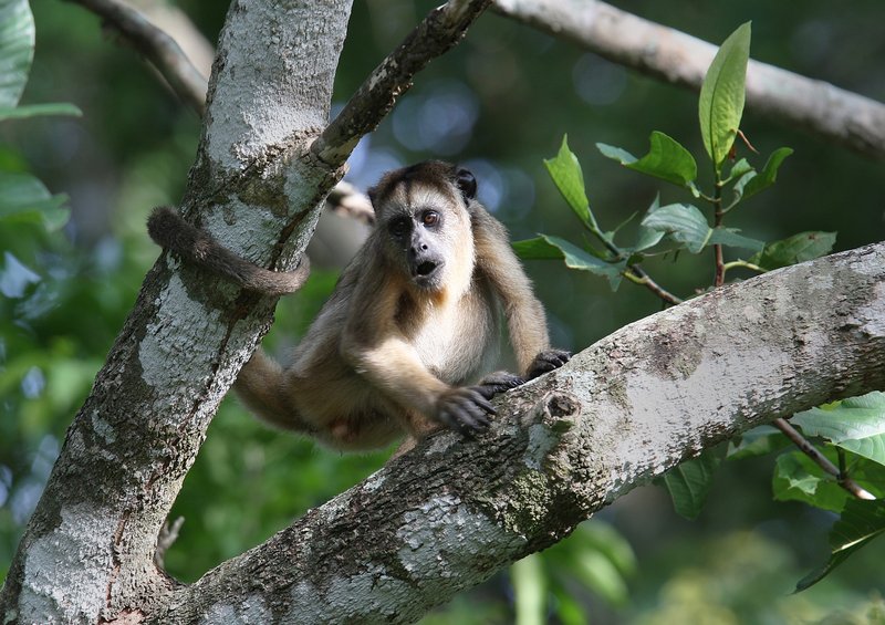 6d0af603-6621-4da1-bff7-5bbeb0dee5f7