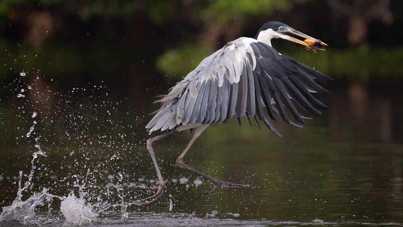 a262686f-ba68-400d-8b4c-11f55af87a87