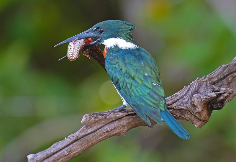 b15655e9-e8c0-4383-a449-fd72acbb379a