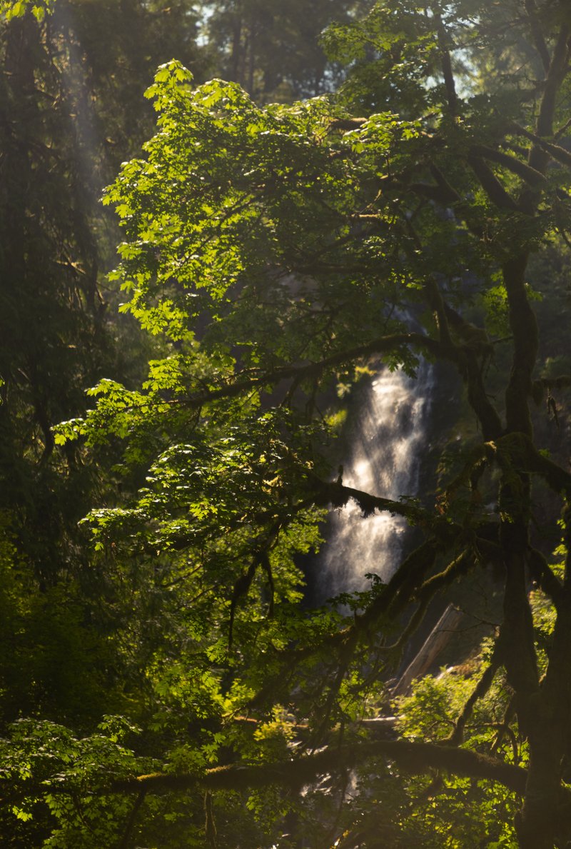 12f29b9e-4034-4493-9d8d-7a6627fc98e7