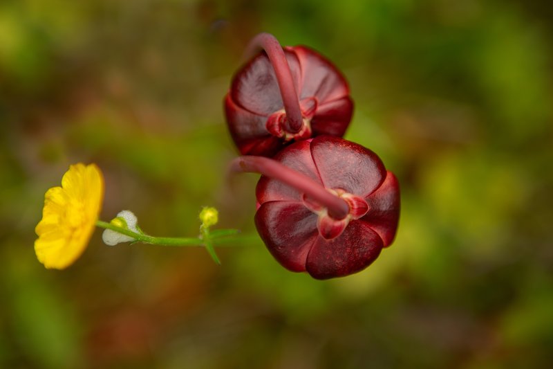 3bd36192-11a2-4e68-ba4b-5190989d462b